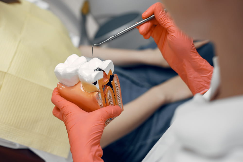 Endodoncia en una sola cita (1)
